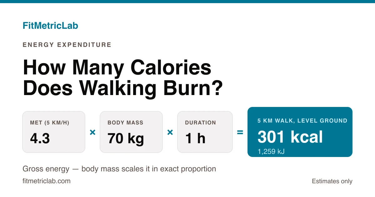 MET formula card showing 4.3 METs x 70 kg x 1 hour giving 301 kcal (1,259 kJ) for a 5 km walk