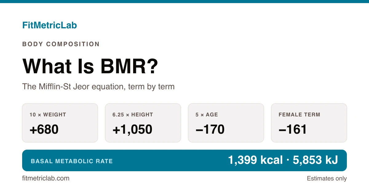 The Mifflin-St Jeor equation shown term by term, resolving to a basal metabolic rate of 1,399 kcal per day